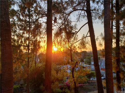 13511 Murphy Hill Dr, Whittier, CA, 90601