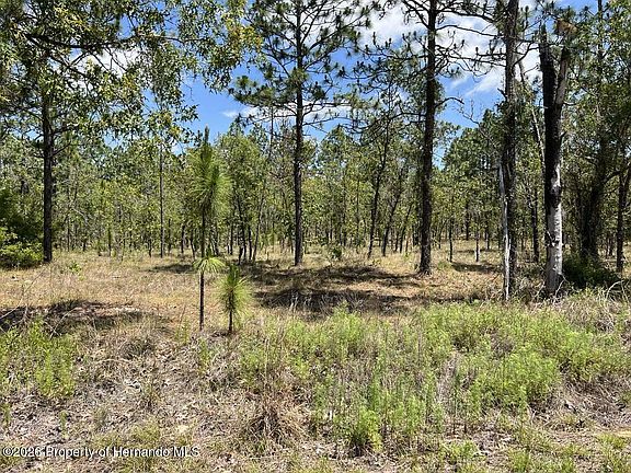 3rd image of LOT 33 NW Amberjack Ave