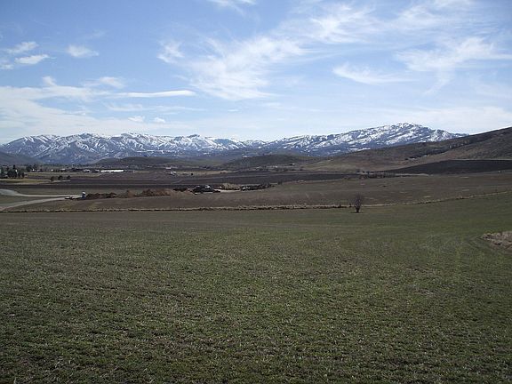 Panoramic views