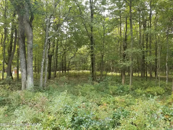 Spenser Ln, Albrightsville, PA 18210