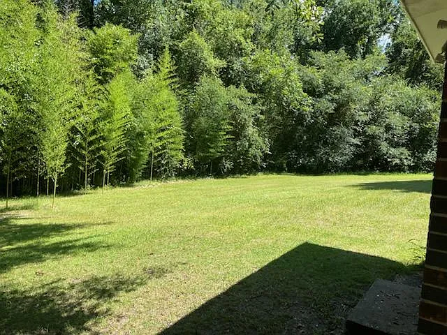 802 Nancy St — Photo 3