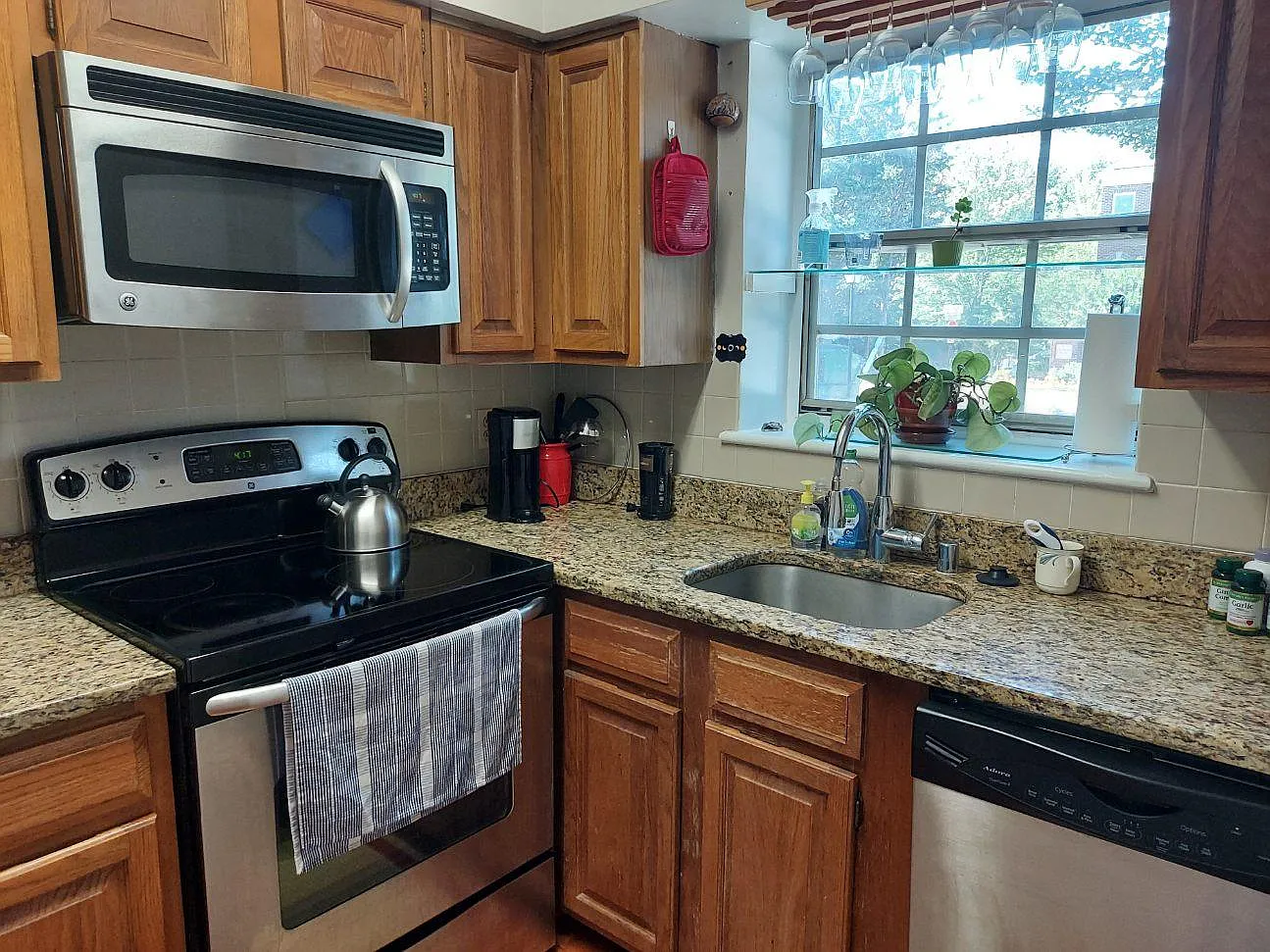 1 bed, 539 sqft, $1,950 — Photo 2