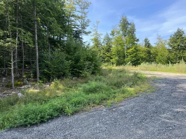 Parcel A Picnic Point Trail Road, West Gardiner, ME 04345