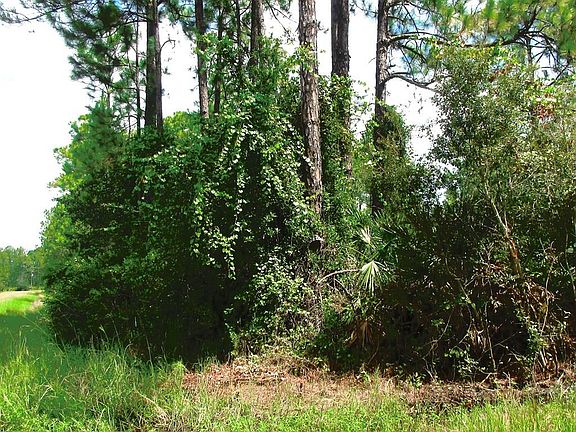 3rd image of 2953 Royal Palm Dr