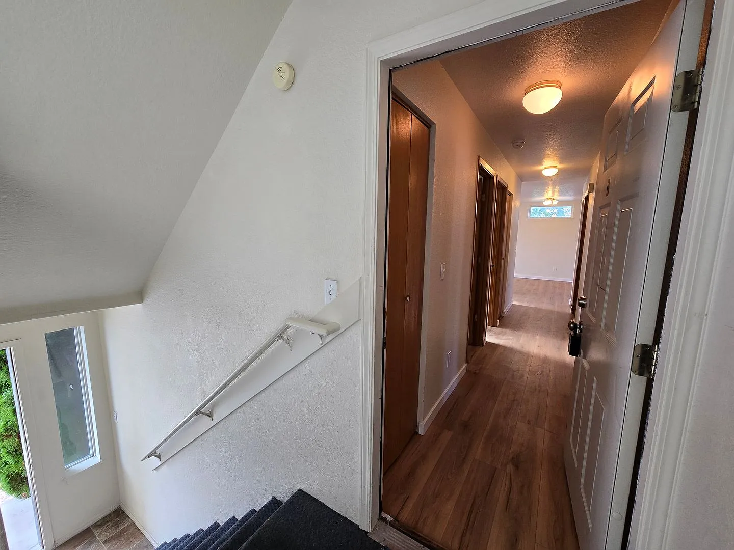 810abcd — Photo 3