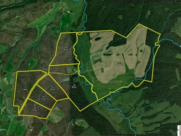 0 Guggenheim Rd, Marion, KY 42064