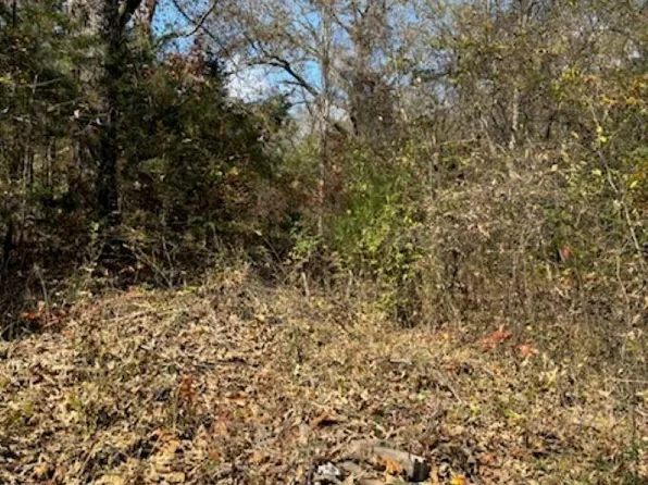 59 Walnut Cv, Hardy, AR 72542