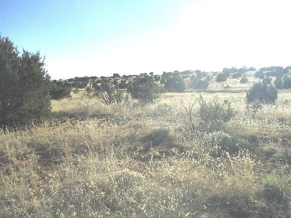 3rd image of 33 Bullsnake Trl