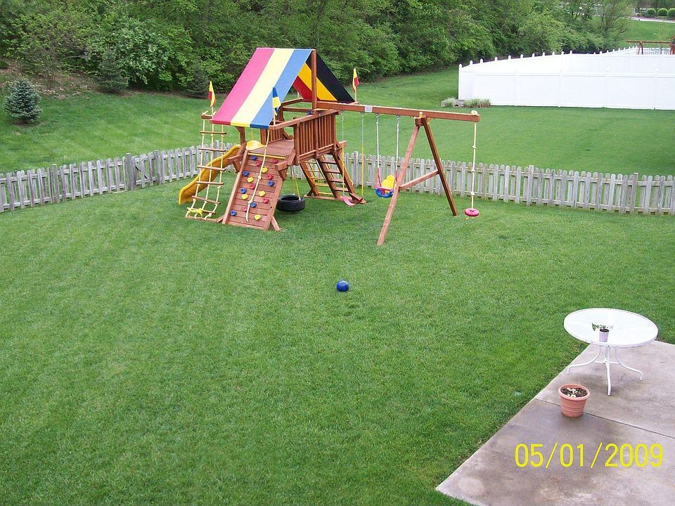 Back yard