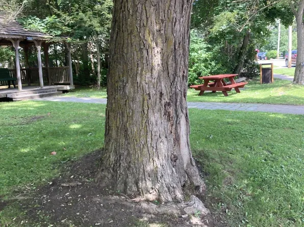 3 Main St, Cherry Valley, NY 13320