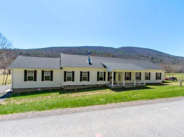 10952 Grapefield Rd, Bastian, VA 24314