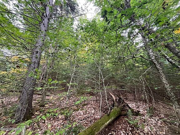 4th image of 0 Manley Phelps Rd