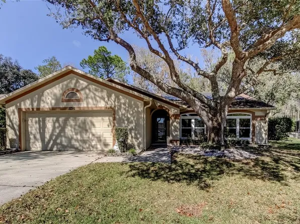 1795 Bayhill Dr, Oldsmar, FL 34677