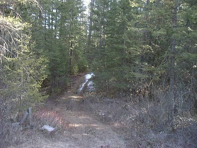 1st image of 0 Forest Ln