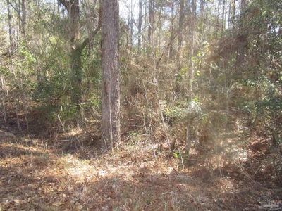 0 Yellow River Log Lake Rd, Holt, FL, 32564