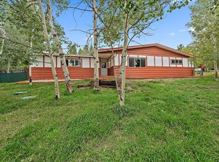 356 Yellow Pine Dr, Bailey, CO 80421