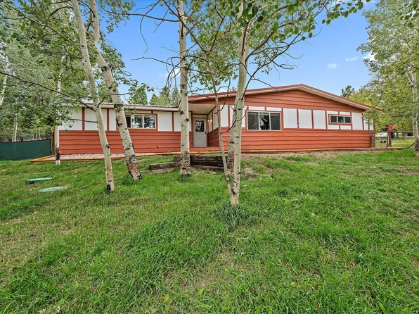 356 Yellow Pine Dr, Bailey, CO 80421