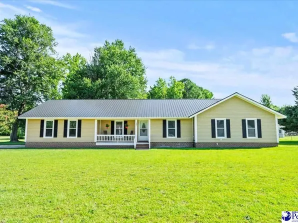 336 Horseshoe Bend Dr, Darlington, SC 29532