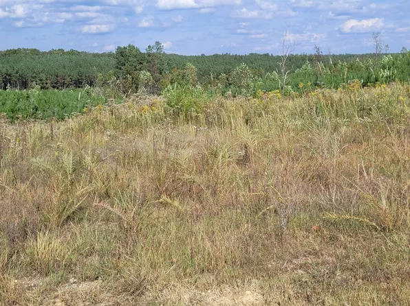 0 Fernwood Dr Lot 99, Dover, TN 37058