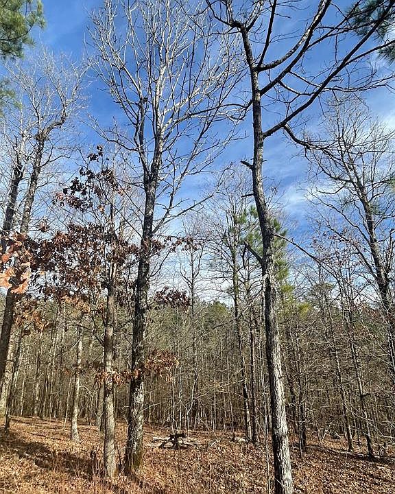 2nd image of 725 Timber Creek Trl