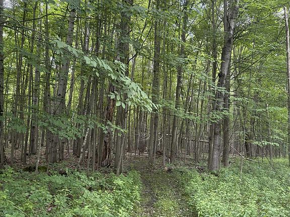 5th image of 3680 Wieman Rd