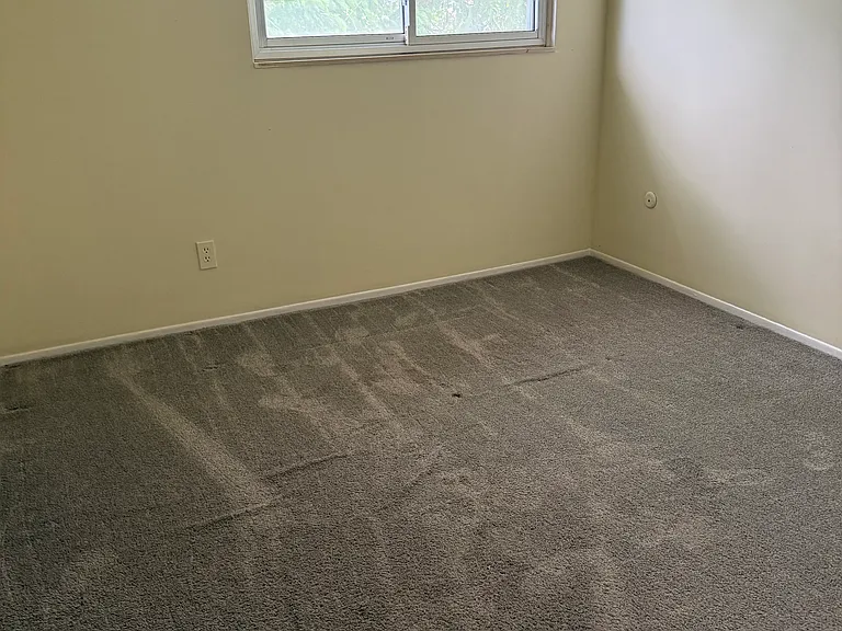 31577 Fraser Dr #2 — Photo 9