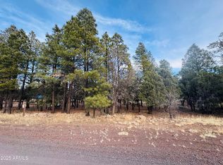 2211 Clear Creek Dr #56, Happy Jack, AZ 86024