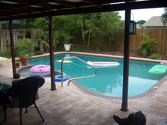 Backyard and Pool