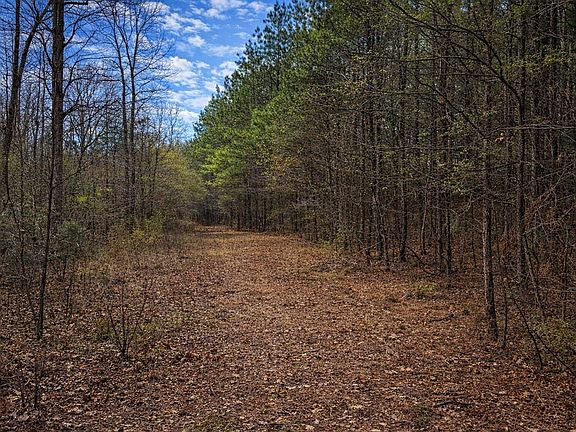 Wooded Trail