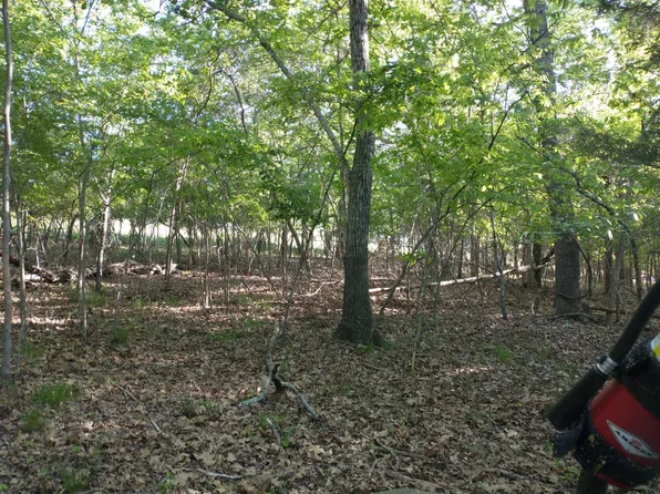 135 Bestol View Lane, Forsyth, MO 65653