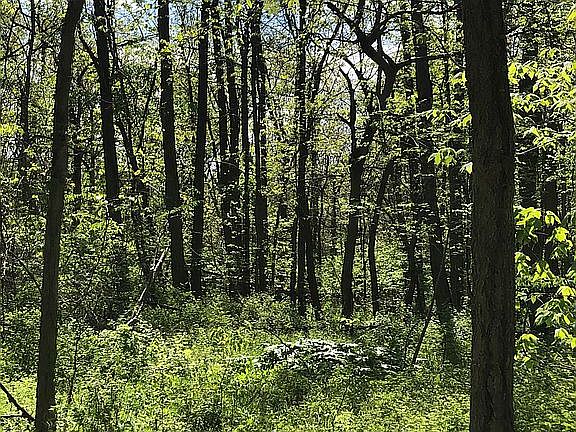 4th image of 3578 W Farm Road 74