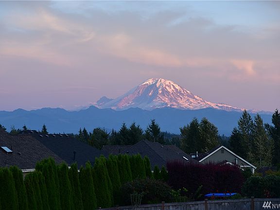 Mt Rainier view from the deck.