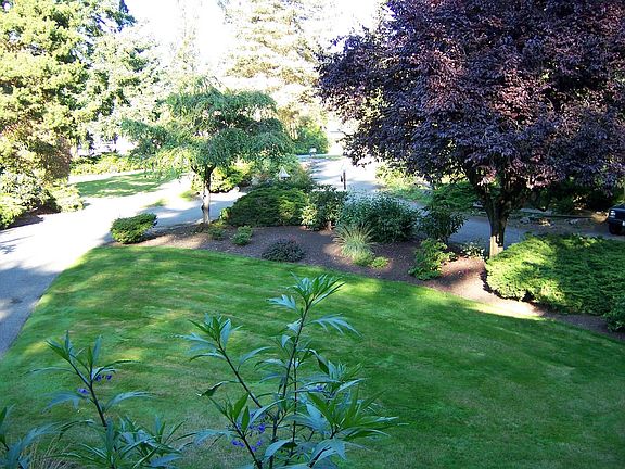 From inside front view