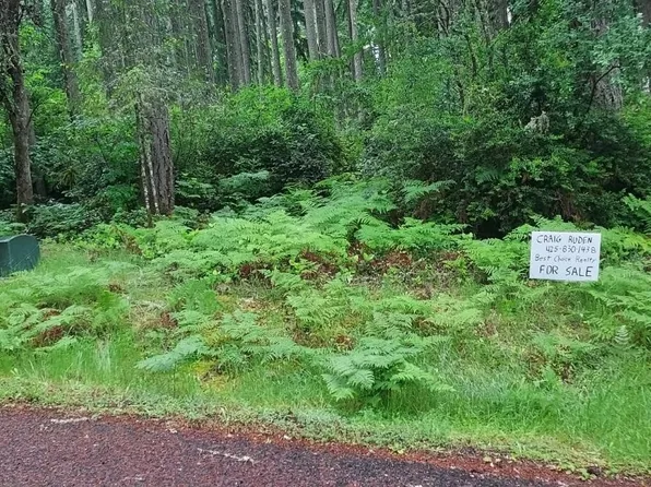 12721 100th Street, Anderson Island, WA 98303