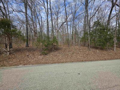 L-13 Robinhood Ln #B, Hardy, AR, 72542