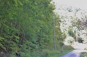 2nd image of 0 Pine Mountain Rd