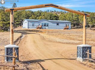 253 Nels Dr, Cotopaxi, CO 81223