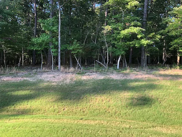 Private Back Yard with Wooded View