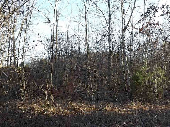 5th image of 400 Tennessee St Lot 2