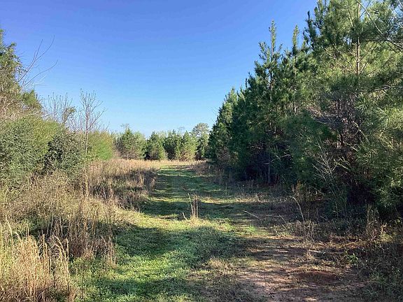 5th image of 86 Carlisle Rd