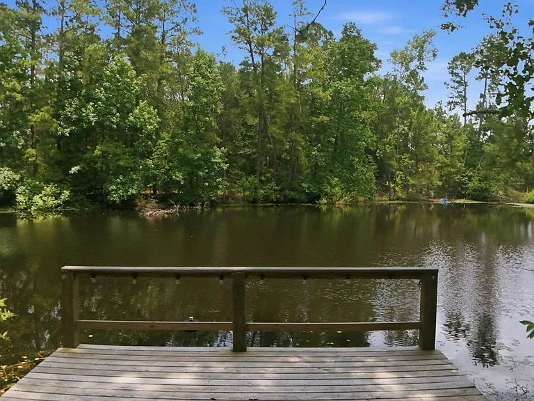 223 Pin Oak Ln — Photo 43