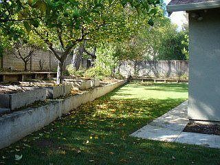 Terraced Yard with Fruit Trees