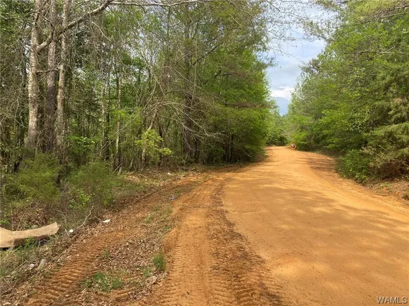 0 Pine Hill Rd, Greensboro, AL 36744