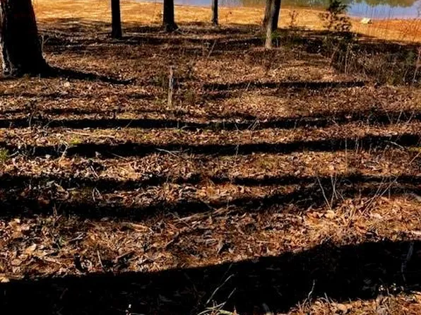 339 N Century Dr #32-33, Martin, GA 30557