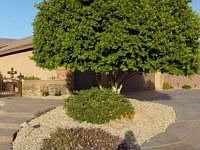 1st image of 7122 W Softwind Dr