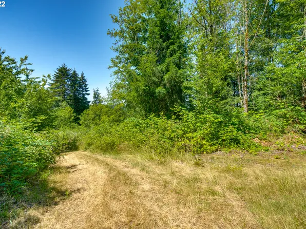 40100 NE 32nd Ave, La Center, WA 98629