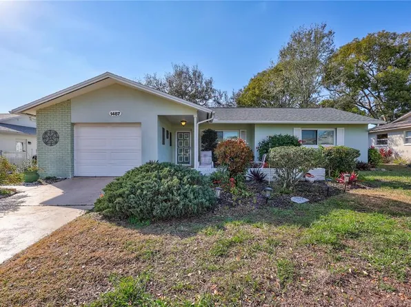 1487 Dundee Dr, Palm Harbor, FL 34684