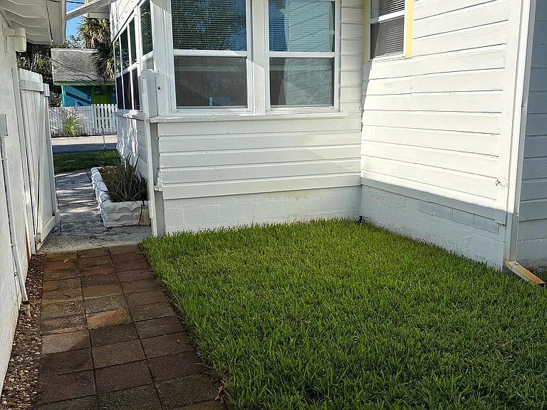 Back yard