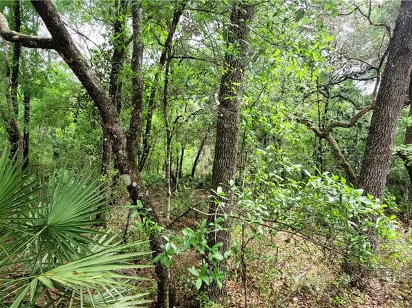 3967 S Curlew Ter, Inverness, FL 34450