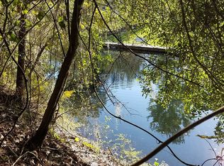 9900 NE 303rd Court Rd, Salt Springs, FL 32134